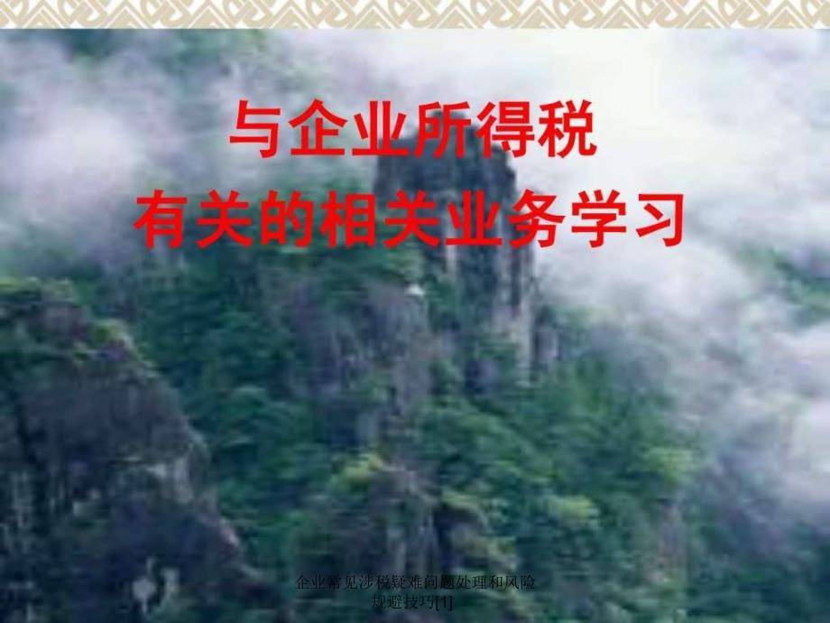 企业常见涉税疑难问题处理和风险规避技巧1课件_第1页