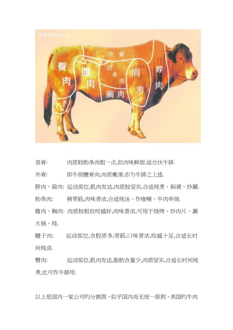 牛肉部位分割图_第1页
