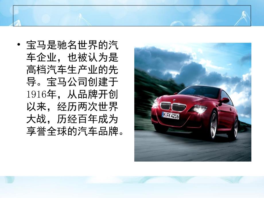 BMW品牌案例研究_第2页