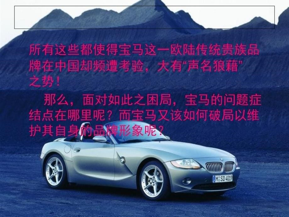 BMW品牌案例研究_第5页