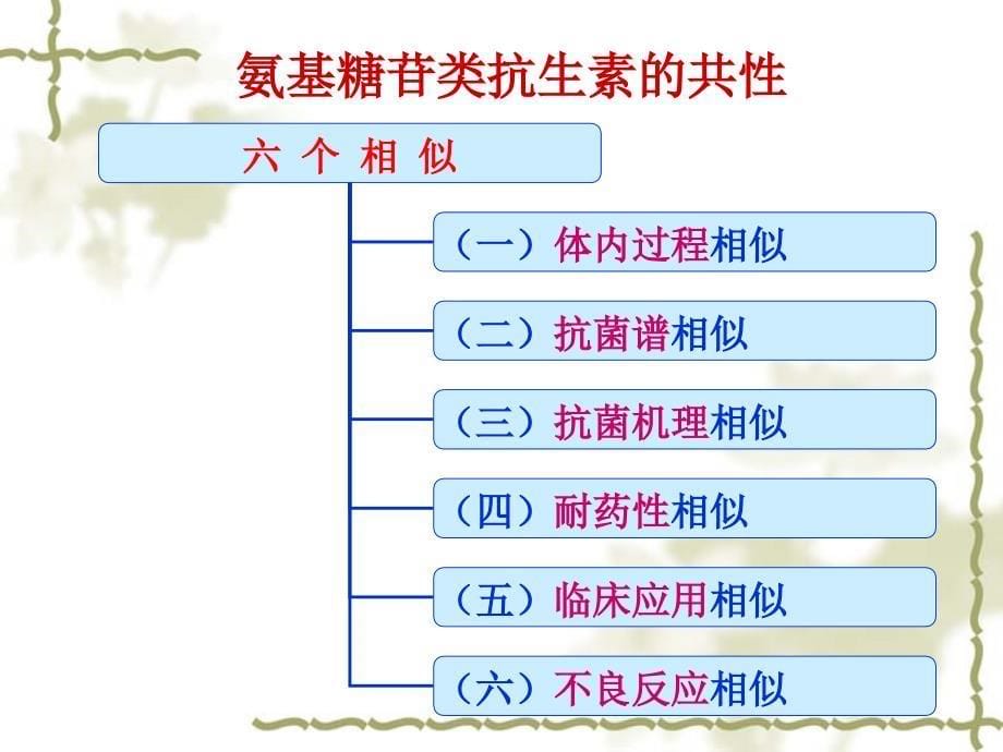 氨基糖苷类抗生素崔_第5页