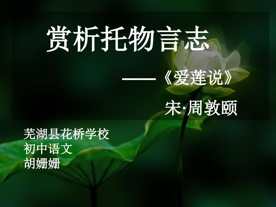 赏析托物言志手法的运用——《爱莲说》课件_第2页