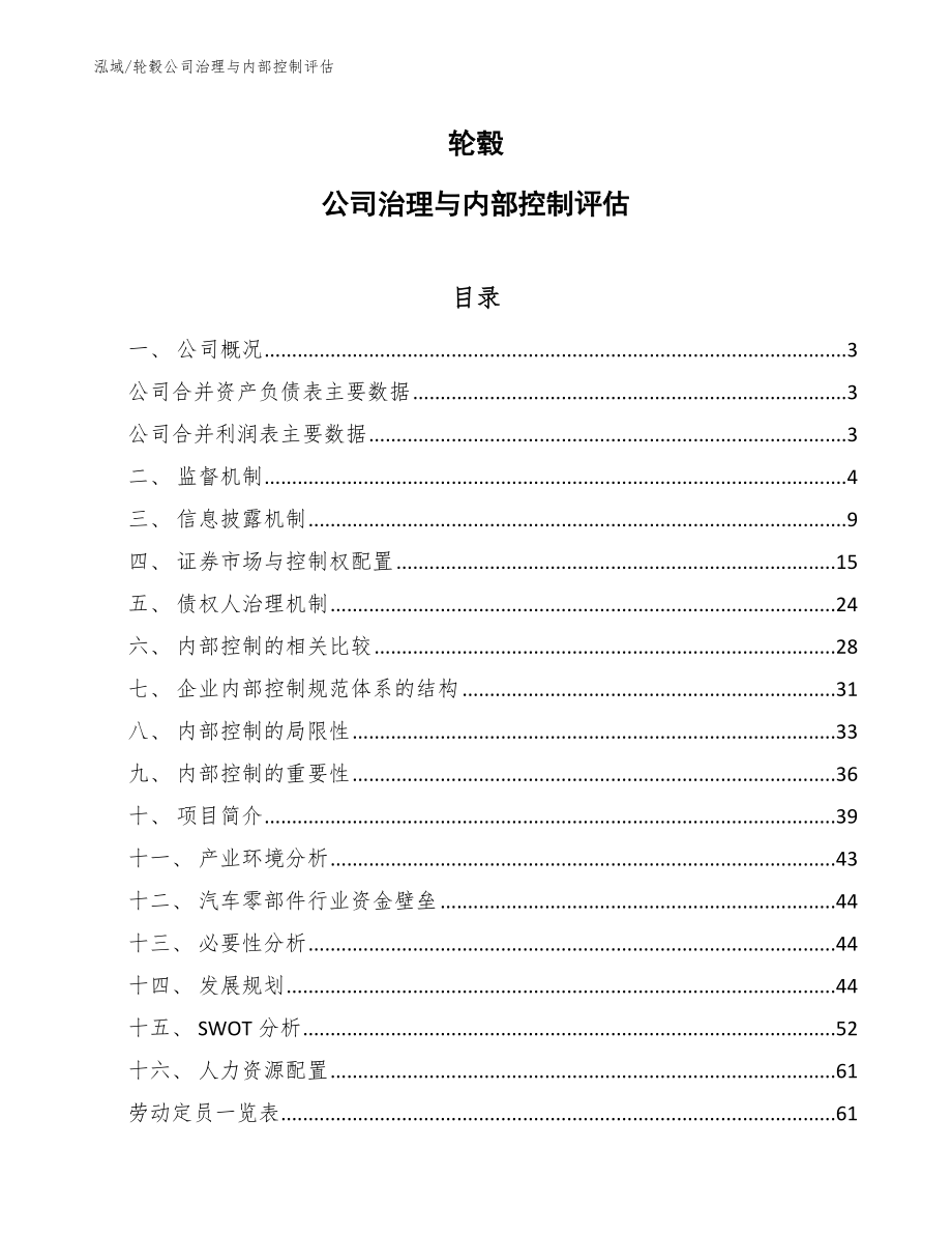 轮毂公司治理与内部控制评估_第1页