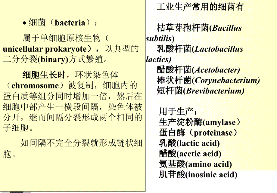 生物工艺学课件之第二章生物工业菌种与种子扩大培养_第3页