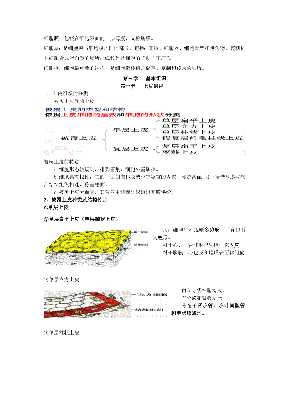 《解剖学基础》1-3章知识点整理_第2页