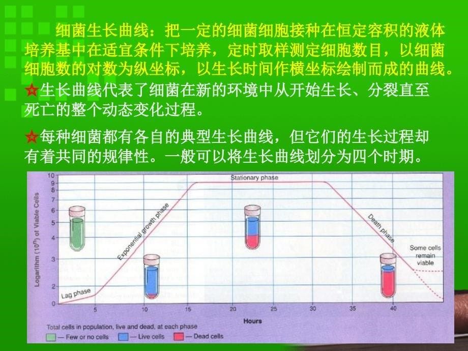 微生物的生长繁殖及其控制(1)课件_第5页