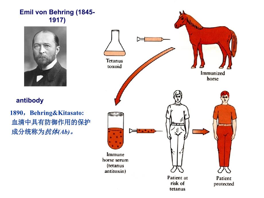 微免免疫球蛋白2h微生物与免疫学_第3页