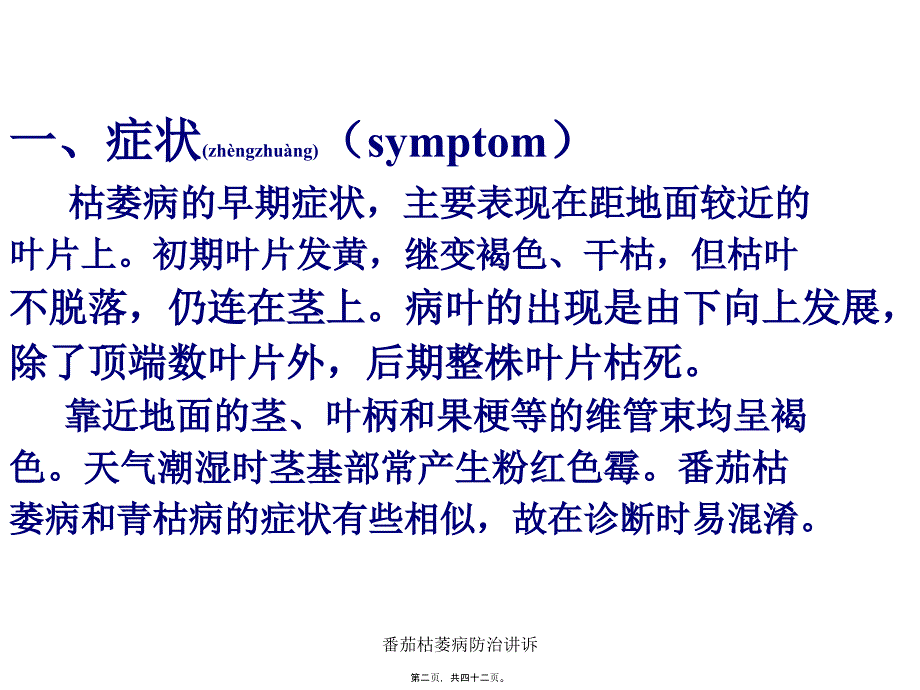 番茄枯萎病防治讲诉课件_第2页