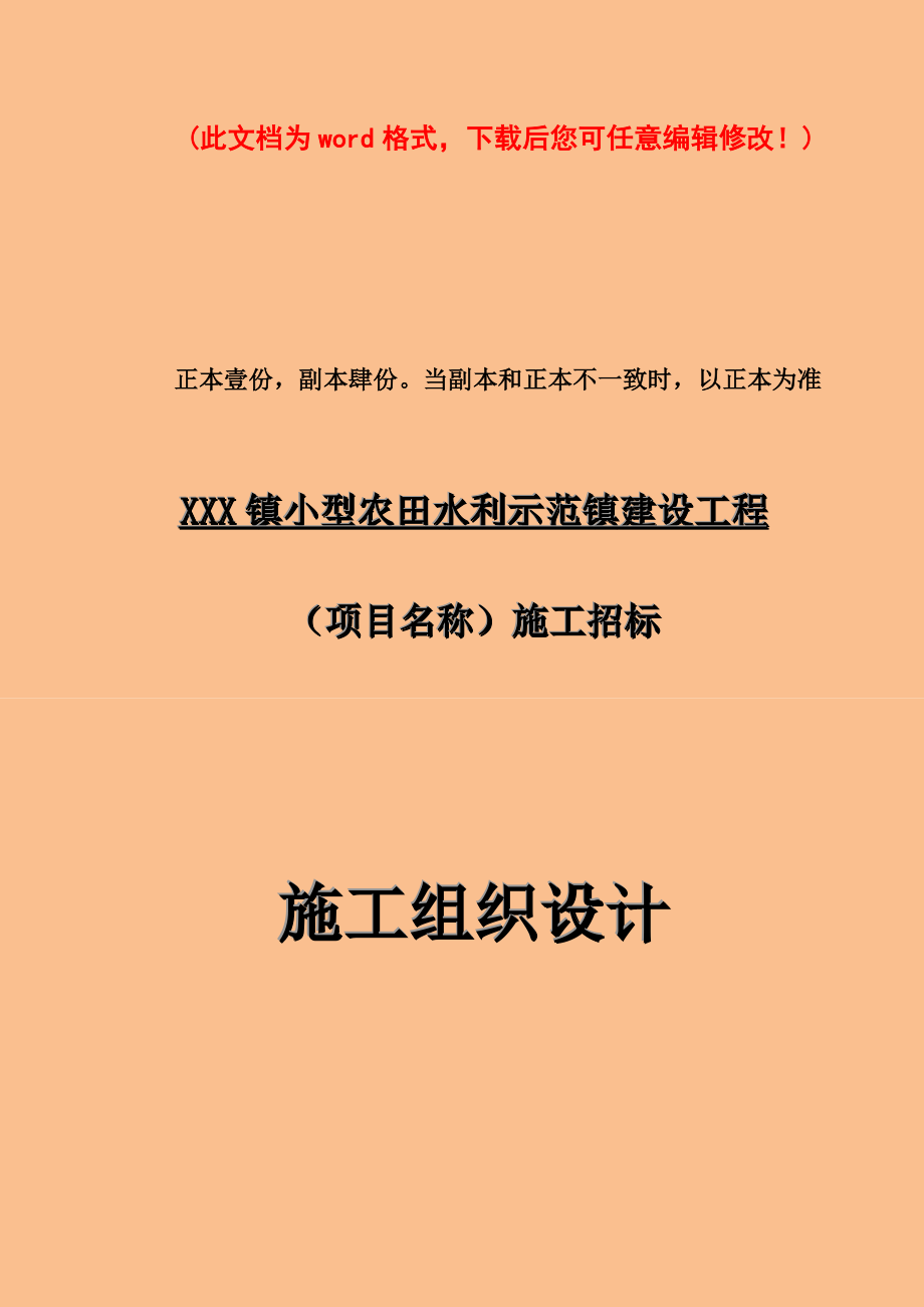 小型农田水利示范镇建设工程施工组织设计完整版_第1页