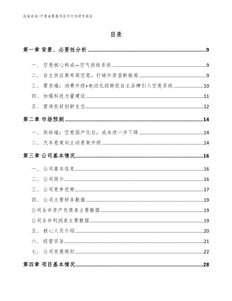 宁夏减震器项目可行性研究报告模板_第1页