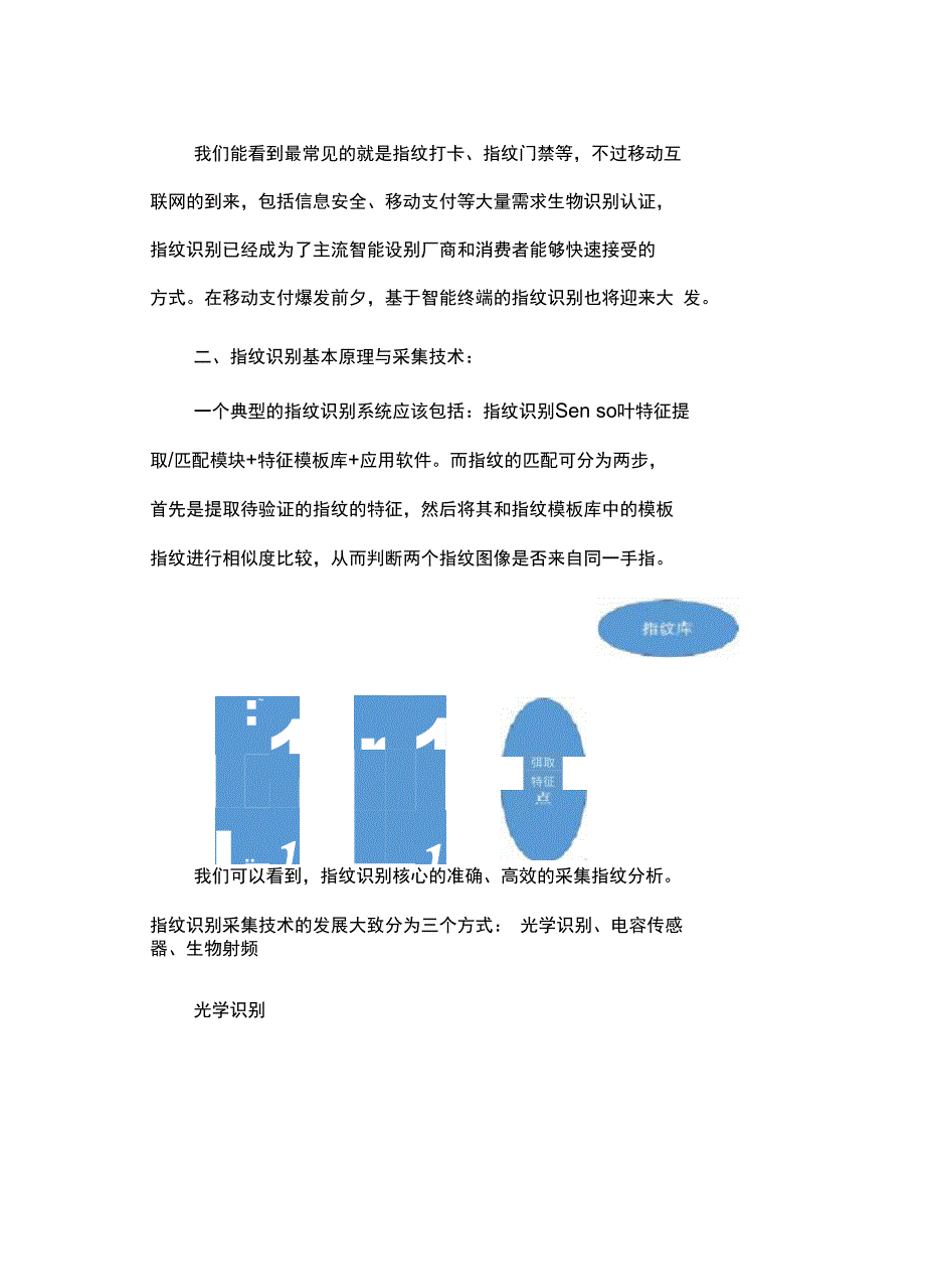 全球指纹识别厂家与技术方案综述_第2页