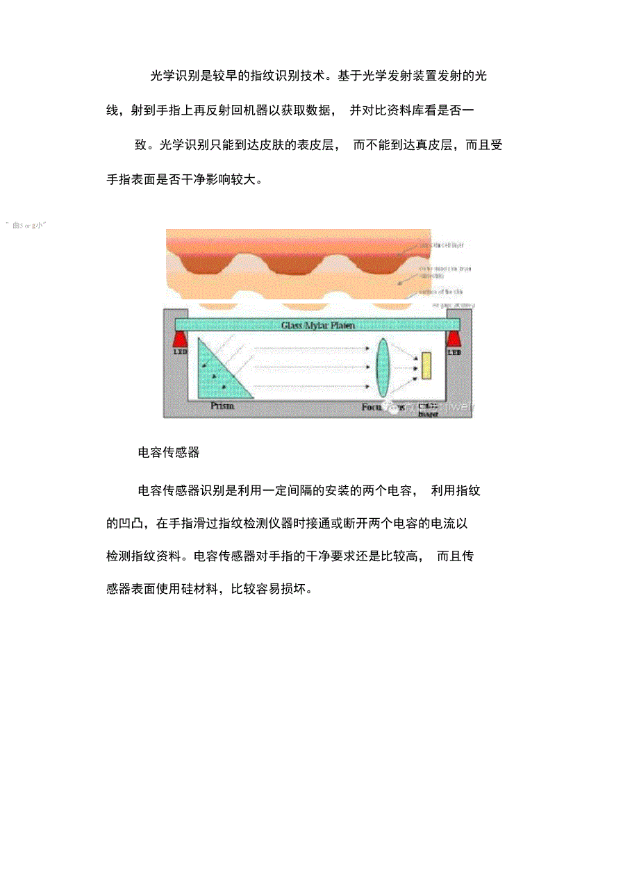 全球指纹识别厂家与技术方案综述_第3页