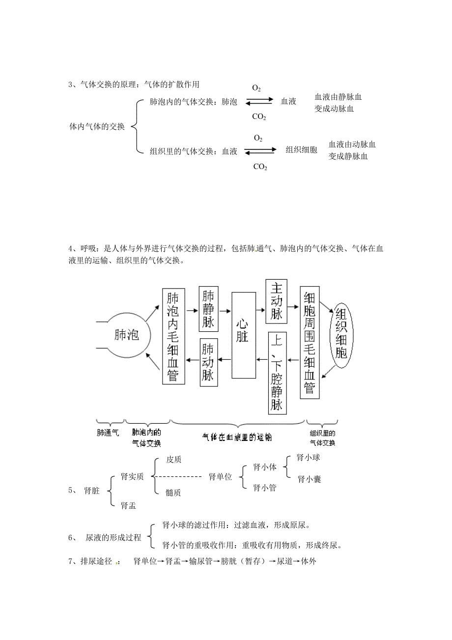 七年级生物下册知识点总结(17章)冀教版_第5页