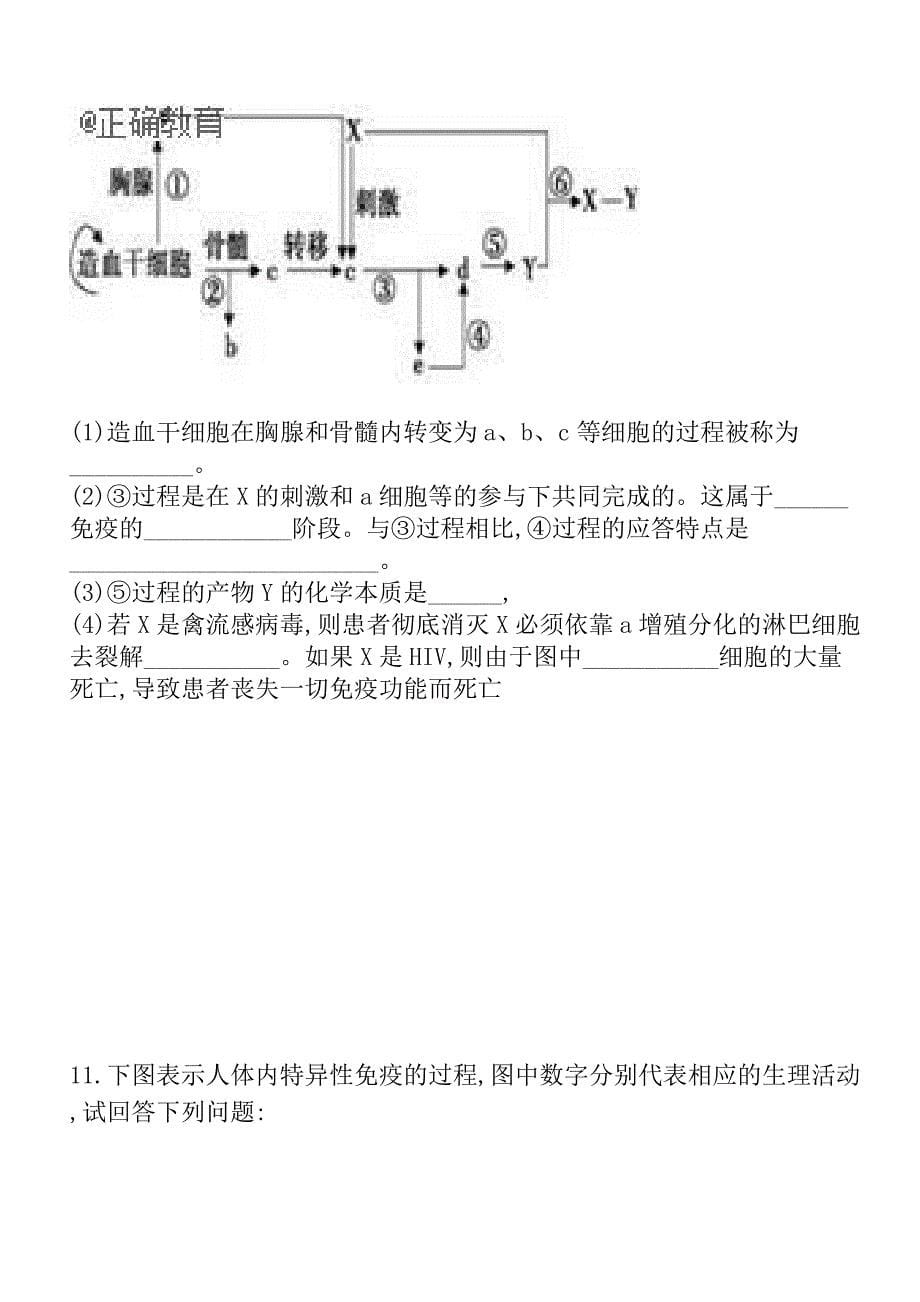 免疫调节练习题_第5页