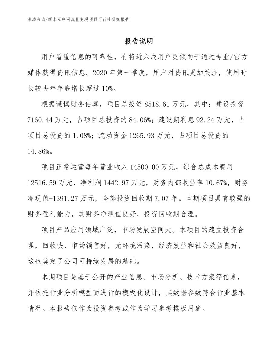 丽水互联网流量变现项目可行性研究报告_第2页