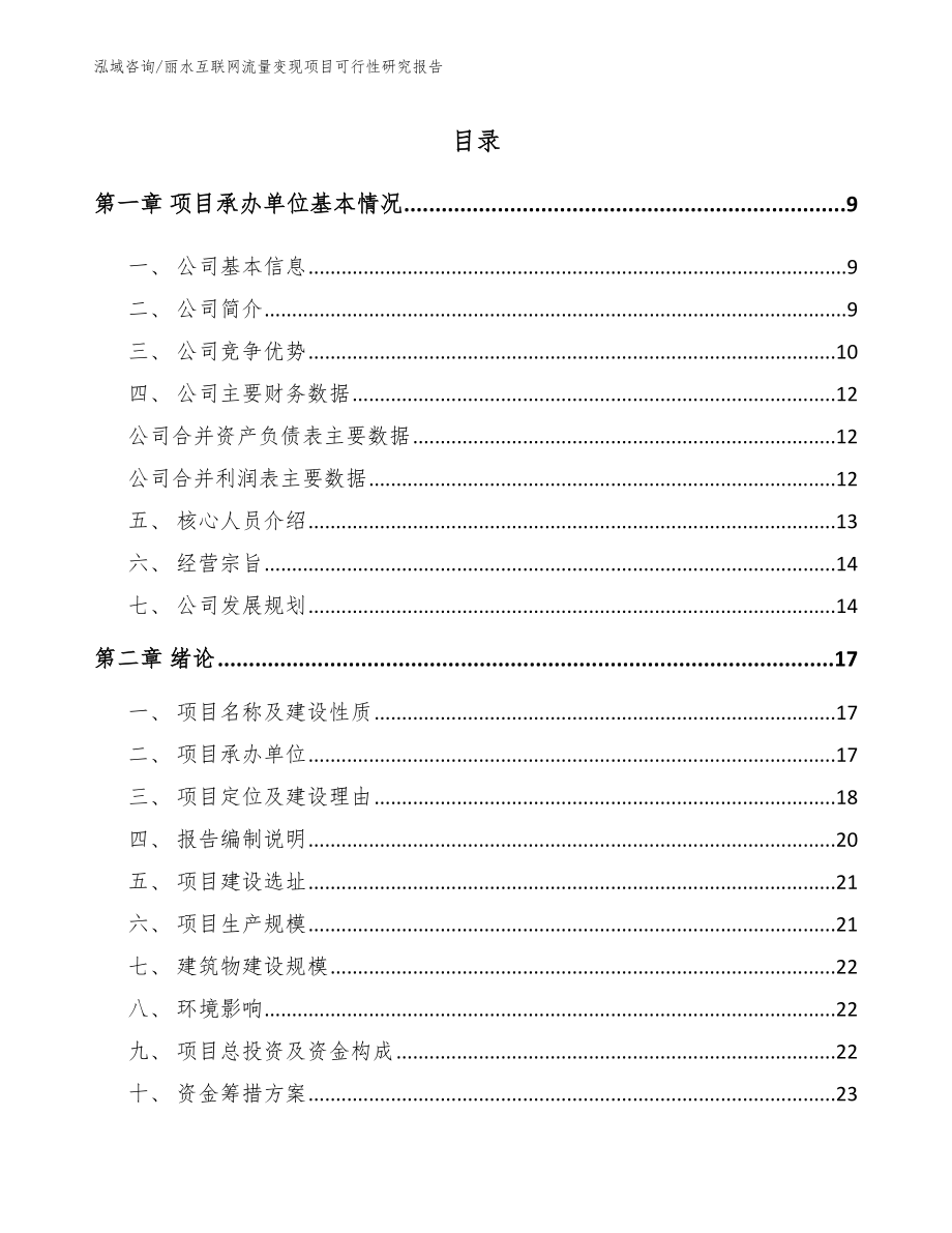 丽水互联网流量变现项目可行性研究报告_第3页