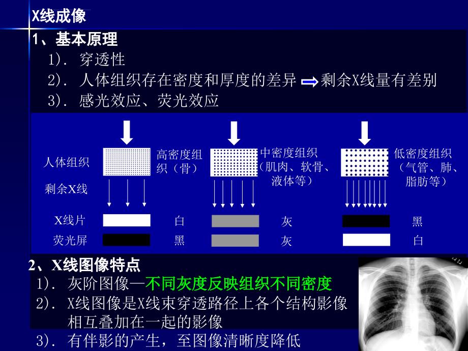 心脏影像学的解剖学基础ppt课件_第2页