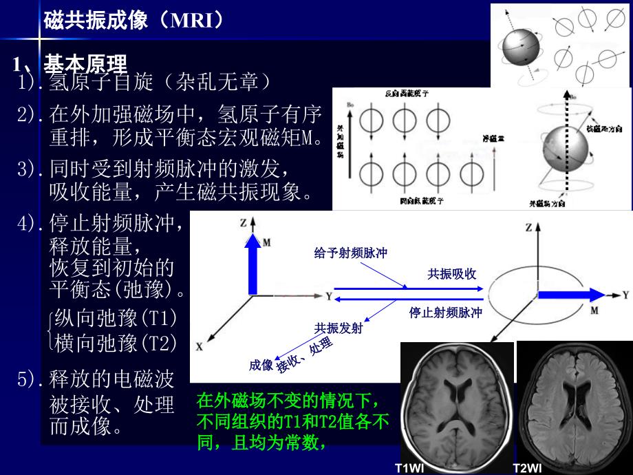 心脏影像学的解剖学基础ppt课件_第4页