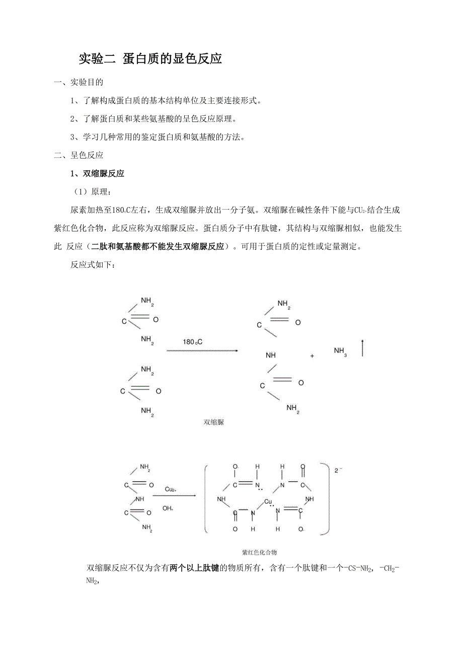 蛋白质的显色反应_第1页