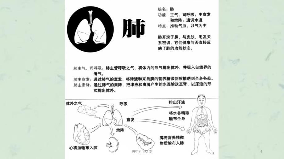 肺部疾病的防治课件_第4页