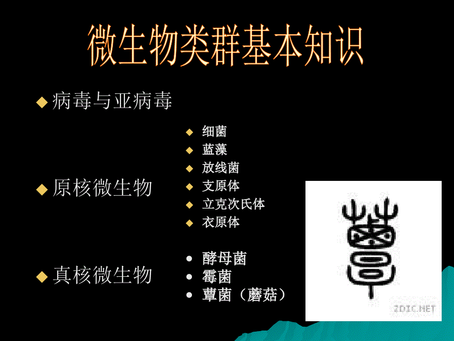 421生物选修1课堂教学课件微生物的实验室培养_第3页