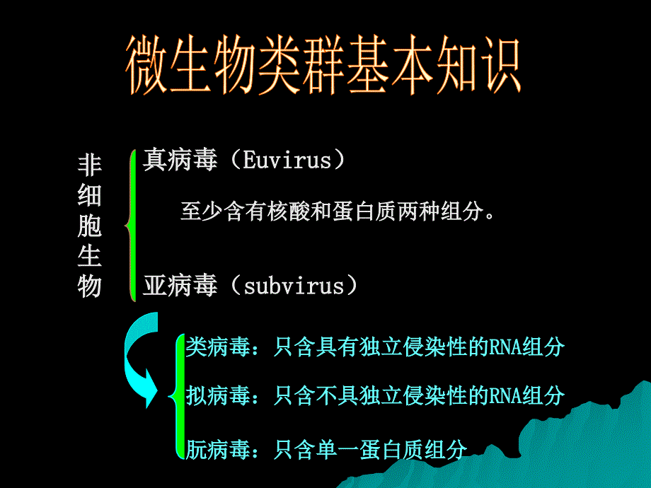 421生物选修1课堂教学课件微生物的实验室培养_第4页