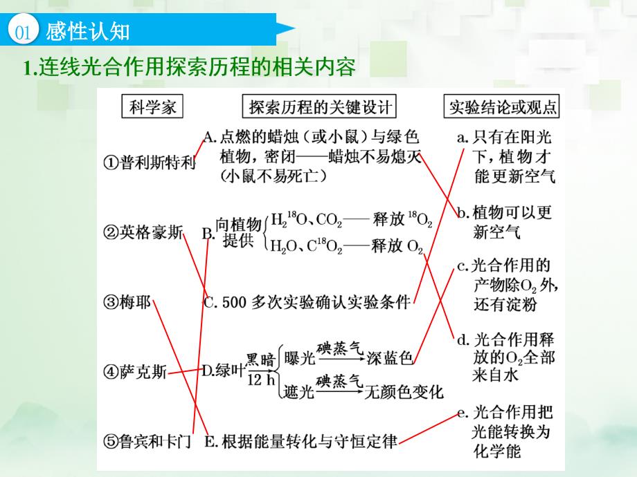 （江苏专版）2019版高考生物一轮复习 第一部分 分子与细胞 第三单元 细胞的能量供应和利用 第三讲 第2课时 光合作用的过程及影响因素课件_第4页