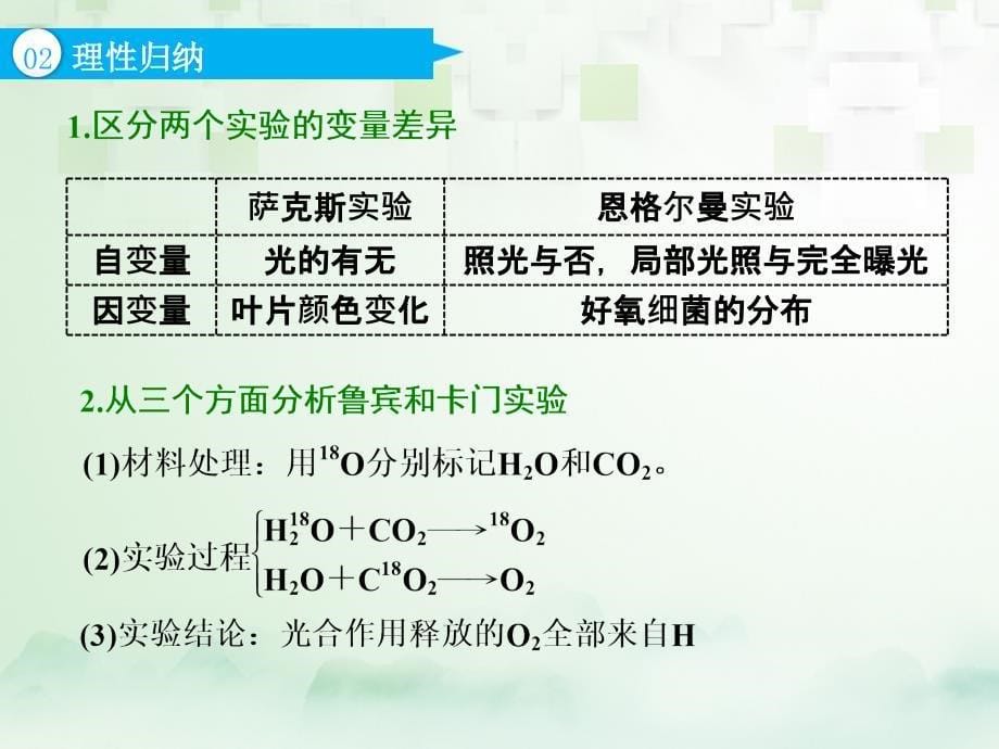 （江苏专版）2019版高考生物一轮复习 第一部分 分子与细胞 第三单元 细胞的能量供应和利用 第三讲 第2课时 光合作用的过程及影响因素课件_第5页