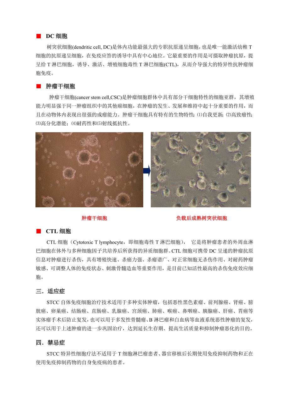 肿瘤STCC特异性细胞疗法.doc_第2页