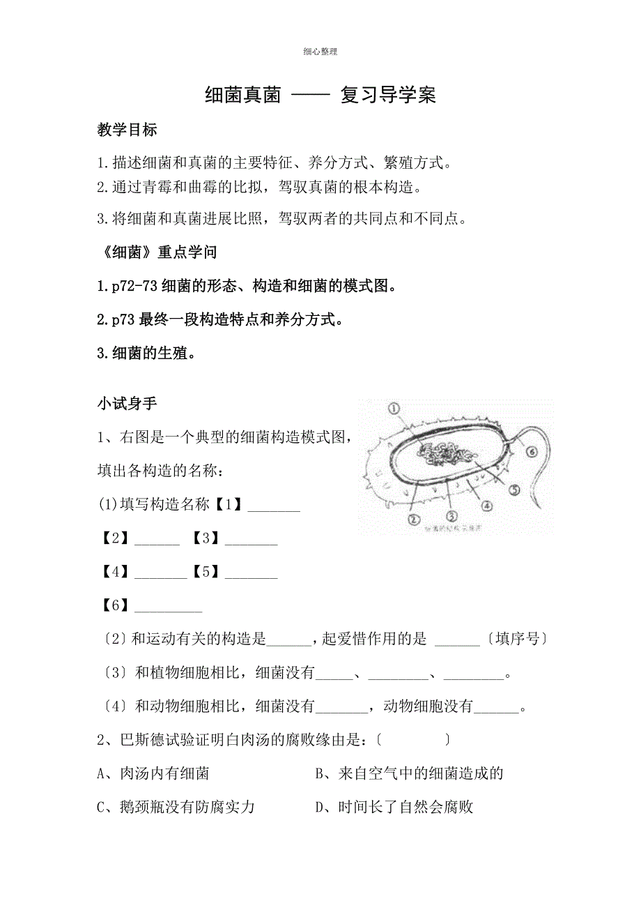 细菌真菌复习导学案_第1页