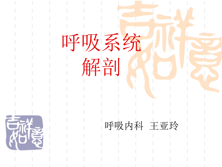 呼吸系统解剖ppt课件_第1页