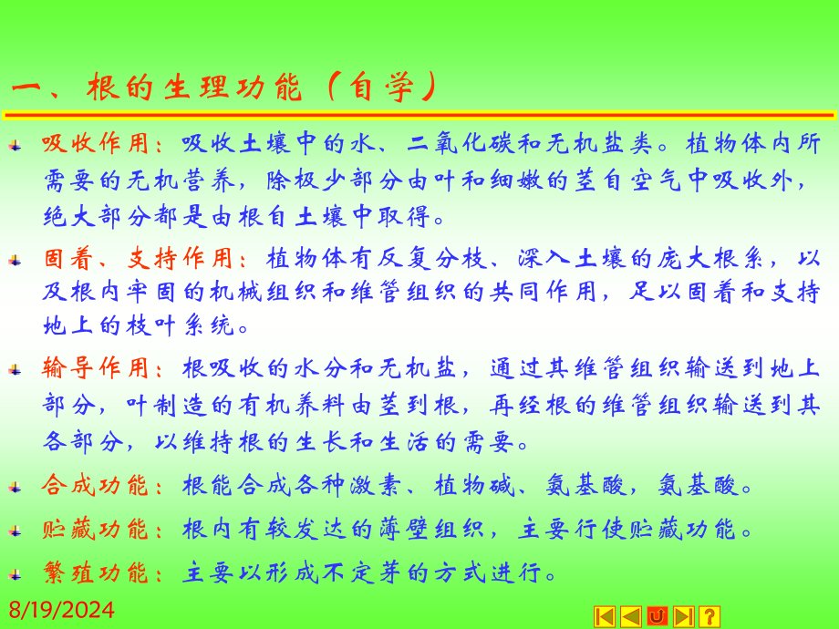 种子植物的营养器官-根.ppt_第4页