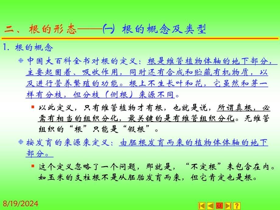 种子植物的营养器官-根.ppt_第5页