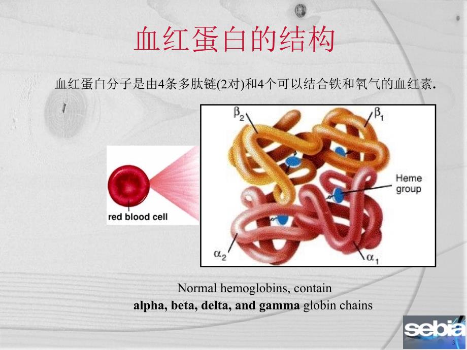 血红蛋白电泳的意义和判断高级版_第3页