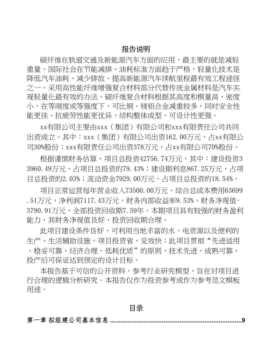 南通关于成立碳纤维原丝公司可行性研究报告(DOC 92页)_第2页