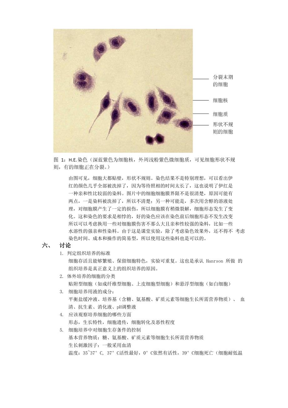 传代和染色实验报告_第3页