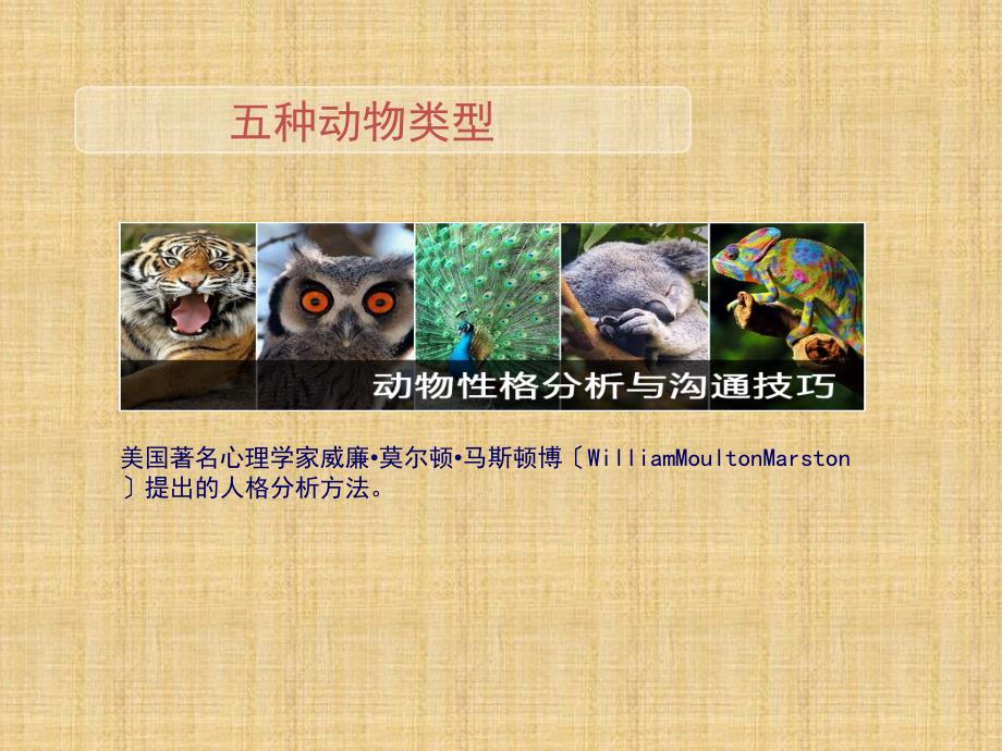 五种客户类型_第1页