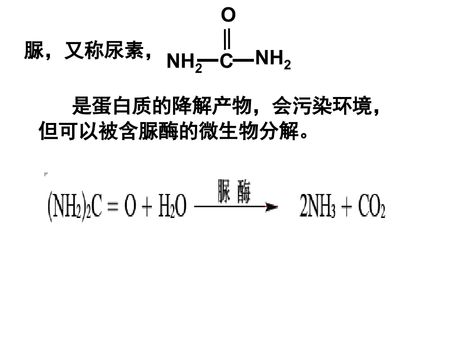 实验2分离以尿素为氮源的微生物_第2页