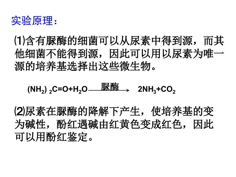 实验2分离以尿素为氮源的微生物_第3页