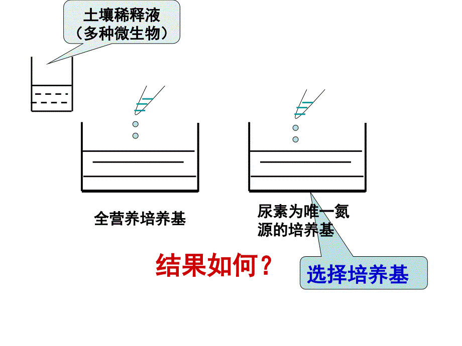 实验2分离以尿素为氮源的微生物_第4页