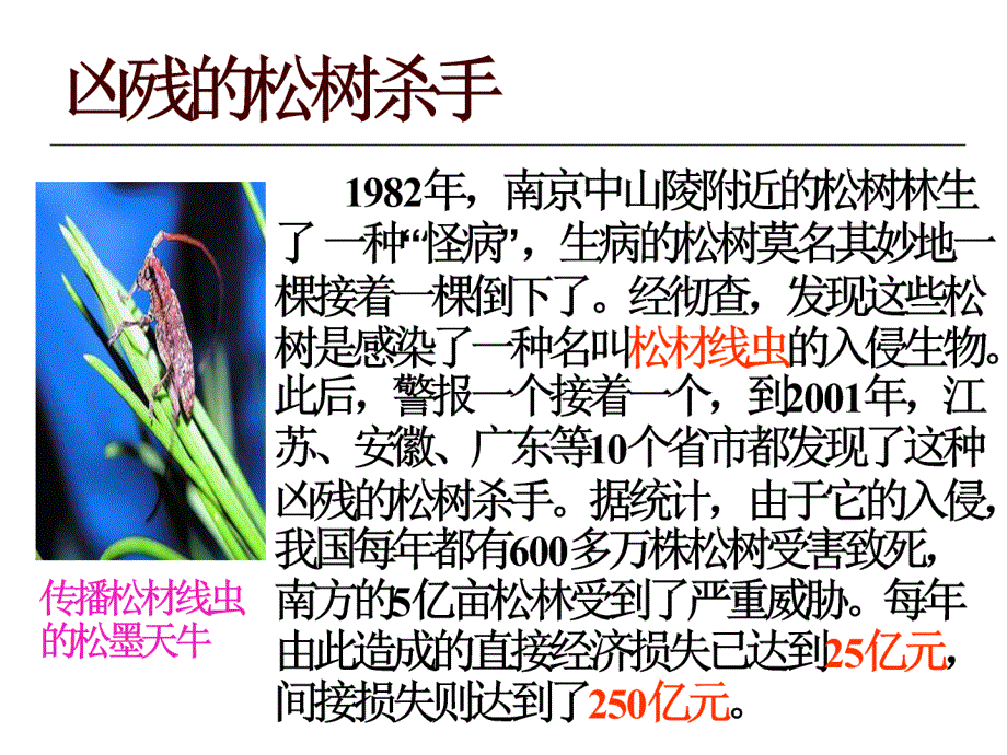 鲁教版语文七下生物入侵者课件_第3页