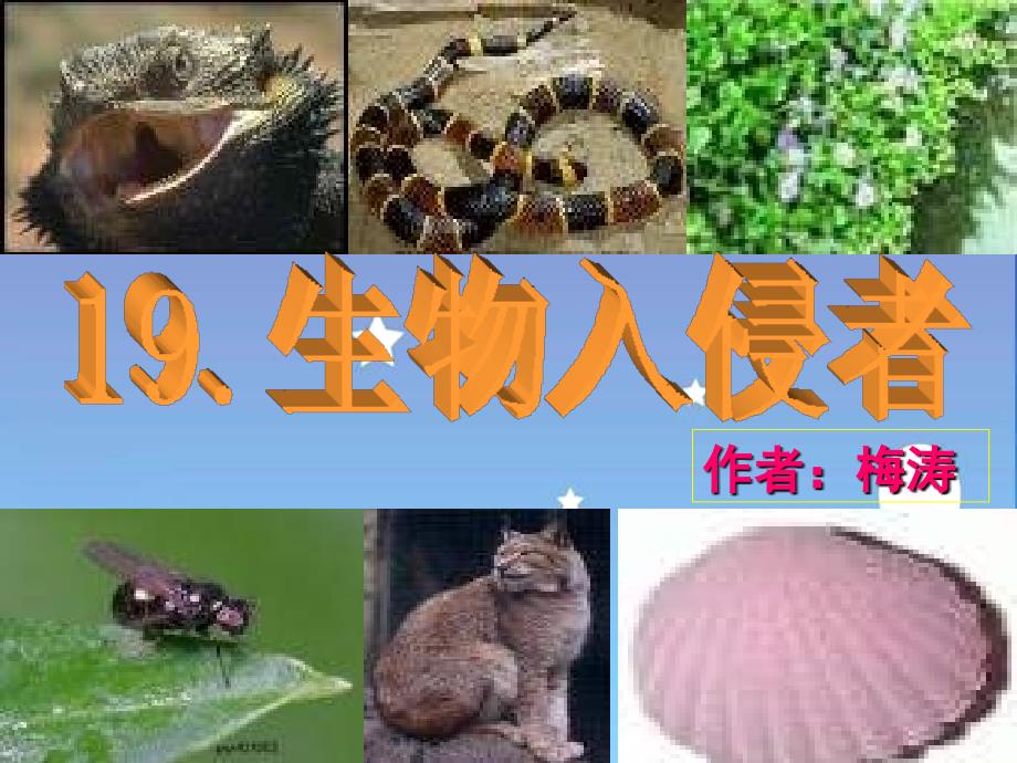 鲁教版语文七下生物入侵者课件_第4页