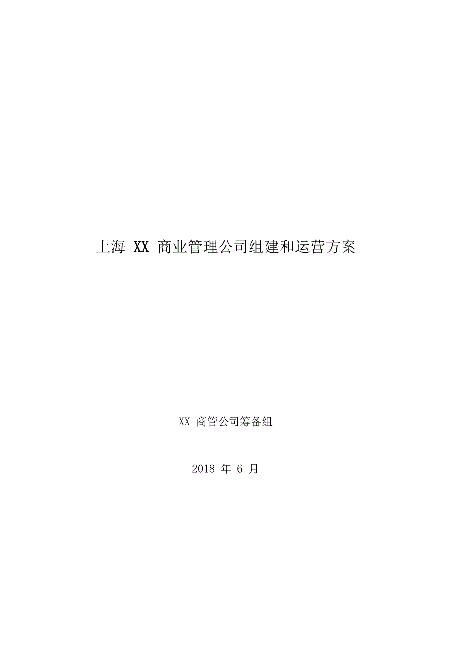 上海XX商业管理公司组建和运营方案_第1页