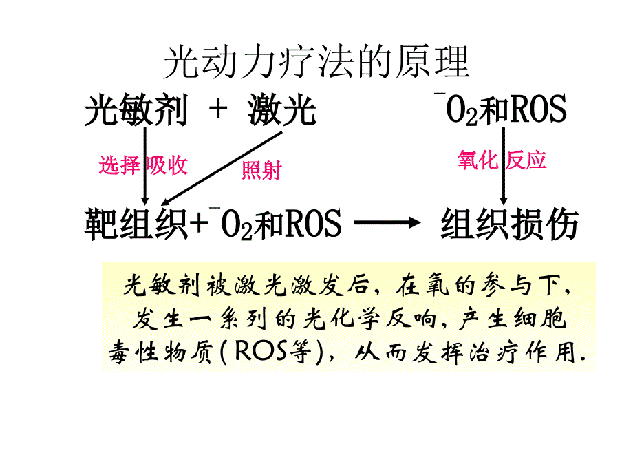 光动力疗法治疗鲜红斑痣_第4页