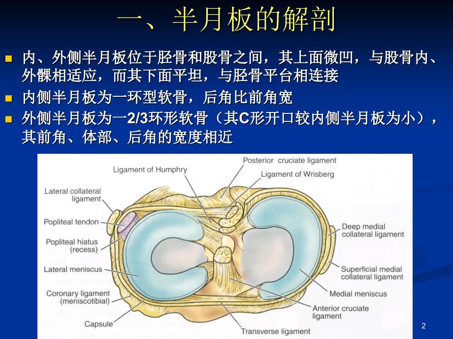 半月板撕裂的MR诊断优选内容_第2页