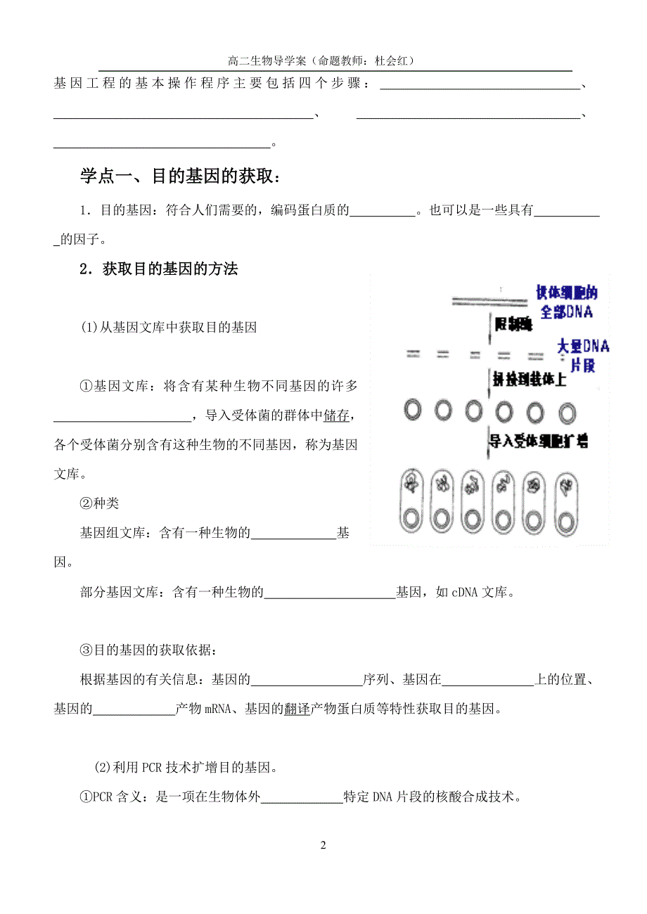 12基因工程的基本操作程序_第2页