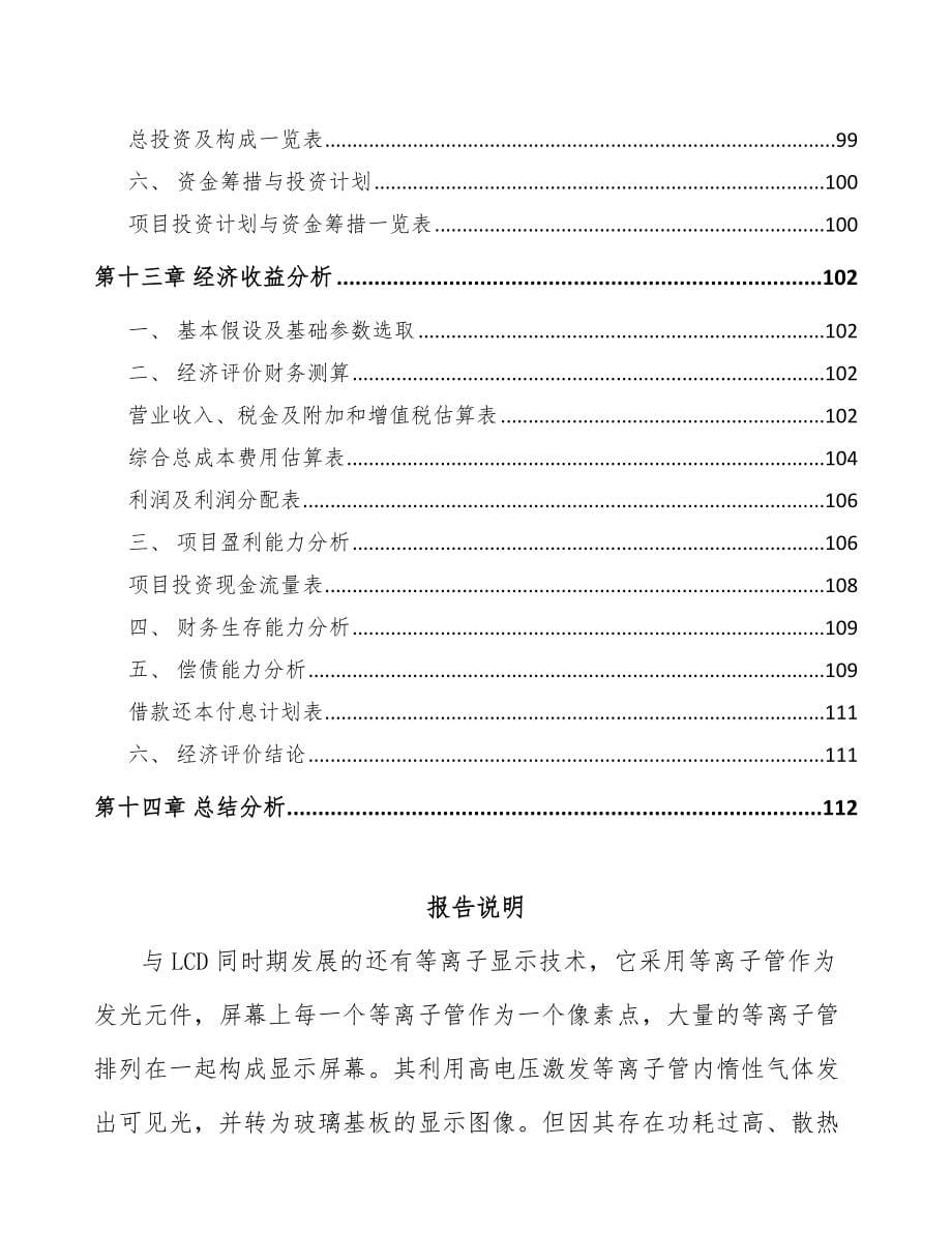 云南显示设备项目可行性研究报告_第5页