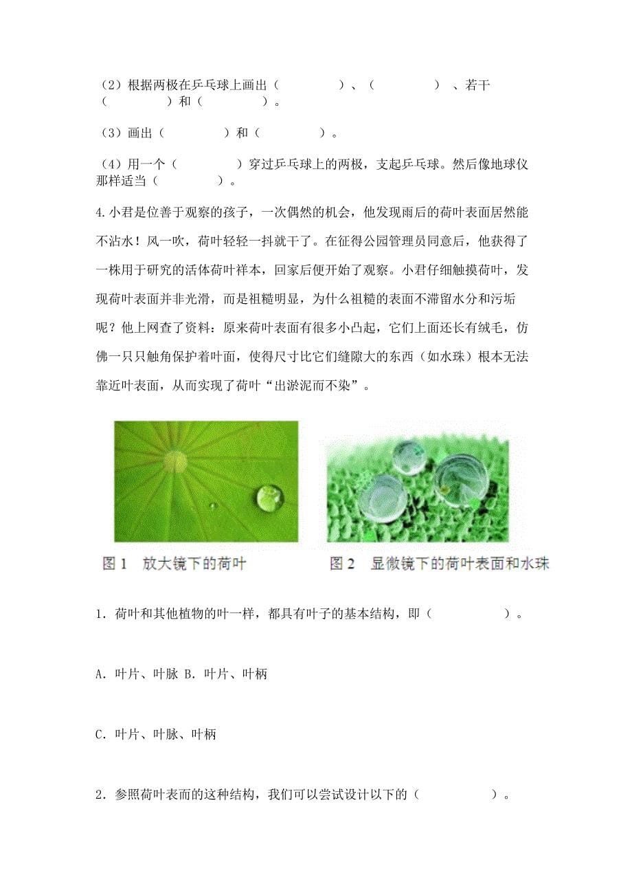 新教科版六年级上册科学期末考试试卷含答案(最新).docx_第5页