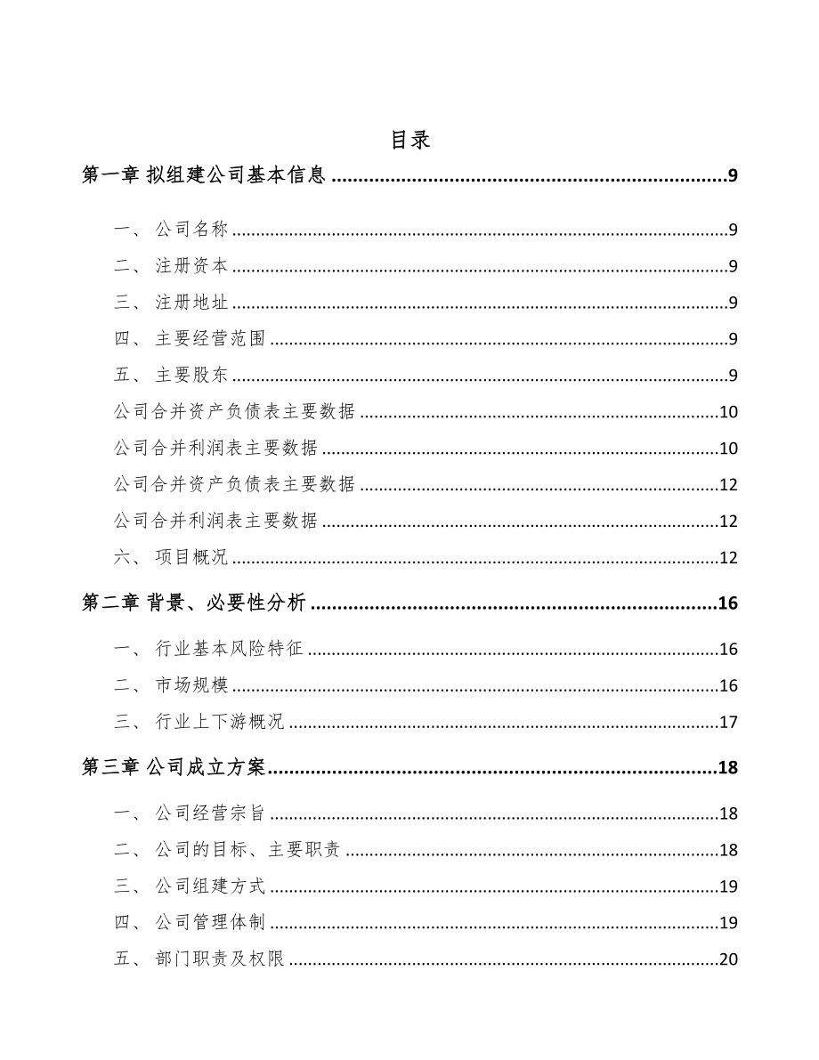 宁波关于成立阻燃材料公司可行性报告(DOC 77页)_第2页