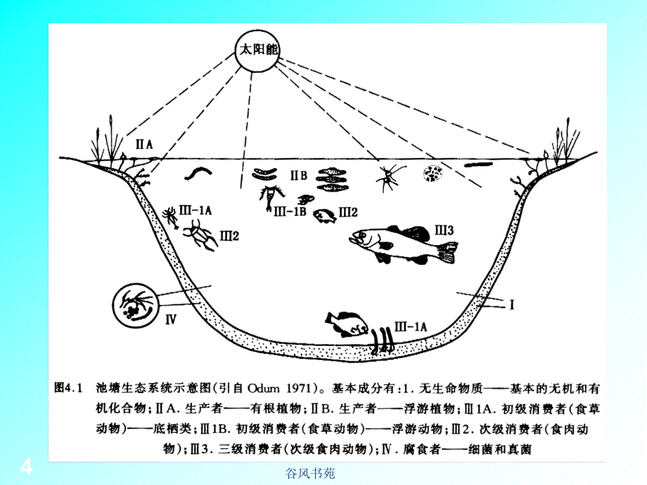 水生动物的保护谷风参考_第4页